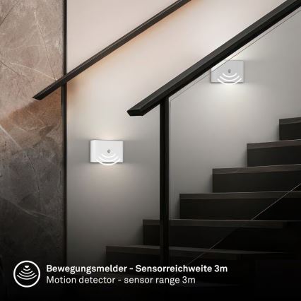 Briloner 3878016 - Applique murale LED rechargeable CHAT avec détecteur de mouvement et détecteur crépusculaire LED/3W/5V 2000 mAh blanche