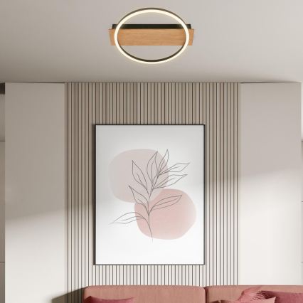 Briloner 3908-014 - Plafonnier LED KADA LED/14W/230V Ø 30 cm noir/marron