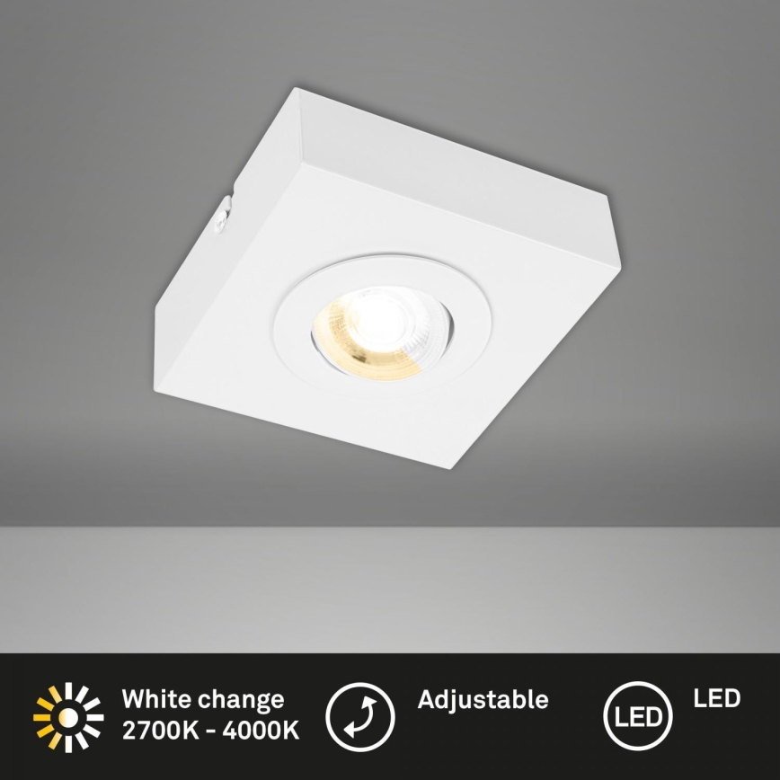 Briloner 3996016 - LED spot CTS LED/4W/230V 2700/4000K wit