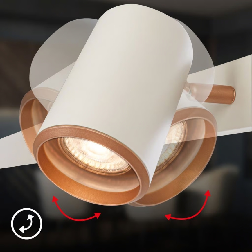 Briloner 4058044 - Hanglamp aan kabel ERA 4xGU10/10W/230V crème