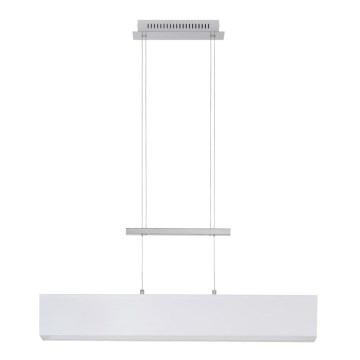 Briloner 4214-016 - LED Hanglamp aan draad TELA 1xLED/20W/230V