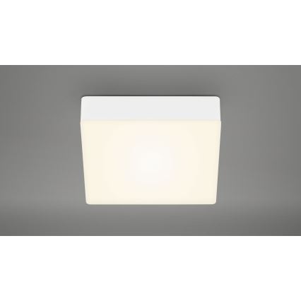 Briloner 7069-016 - LED Plafondlamp LED/11W/230V wit