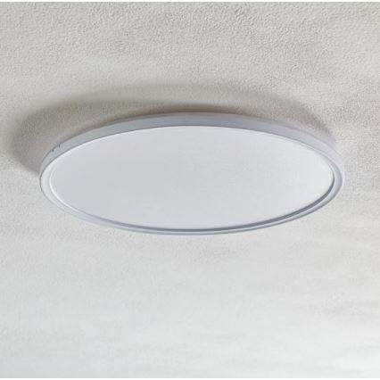 Briloner 7094-416 - Plafonnier LED RGBW à intensité variable SLIM LED/22W/230V + télécommande