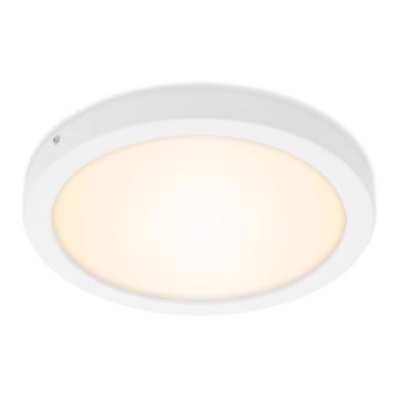 Briloner 7141-016 - Plafonnier LED FIRE LED/21W/230V