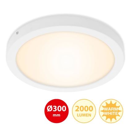 Briloner 7141-016 - Plafonnier LED FIRE LED/21W/230V