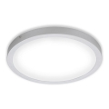 Briloner 7143-414 - Plafonnier LED FIRE LED/24,5W/230V 4000K