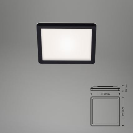 Briloner 7153-415 - plafonnier LED SLIM LED/12W/230V 19x19 cm