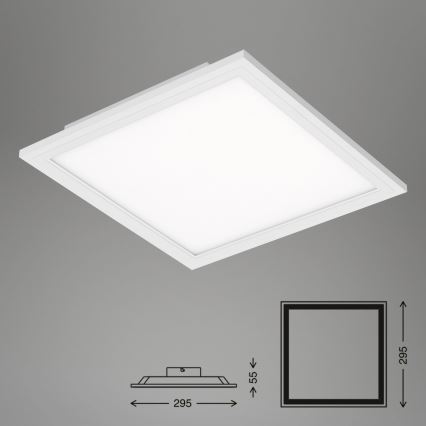 Briloner 7191-016 - LED plafondlamp SIMPLE LED/12W/230V