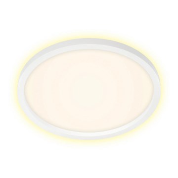 Briloner 7363-016 - LED plafondlamp CADRE LED/22W/230V d. 42,5 cm wit