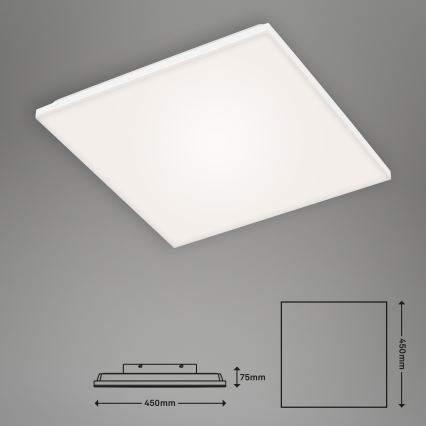 Briloner 7376-116 - Plafonnier LED FRAMELESS LED/24W/230V