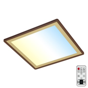 Briloner 7459-417 - LED dimbare plafondlamp DECO LED/24W/230V 2700-6500K + afstandsbediening