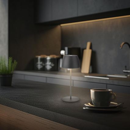 Briloner - Lampe de table d'extérieur tactile LED rechargeable et dimmable MINI LED/2,5W/5V IP44 1800 mAh anthracite