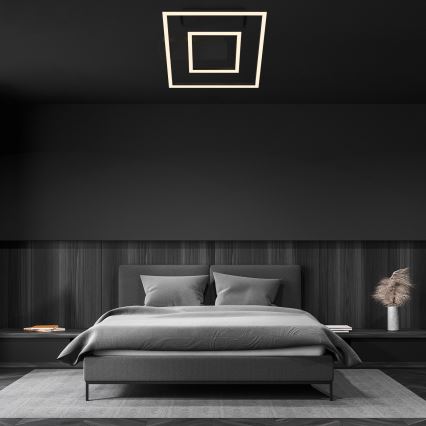 Briloner - Plafonnier LED FRAME, 22 W, 230 V, 3000 K, 30 x 32 cm, noir