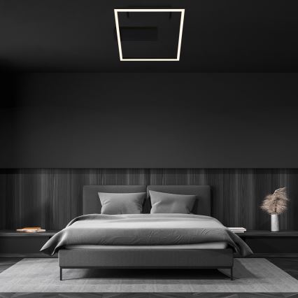 Briloner - Plafonnier LED FRAME LED/14W/230V 3000K 30x32 cm noir