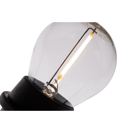 Buiten decoratieve lichtsnoer MIMOSA 20xE27/1,3W/230V IP44 20m