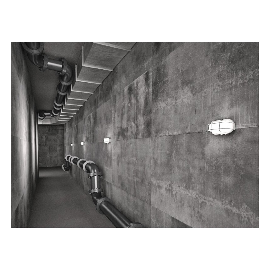 Buitenplafondlamp OVAL 1xE27/60W/230V IP44 wit