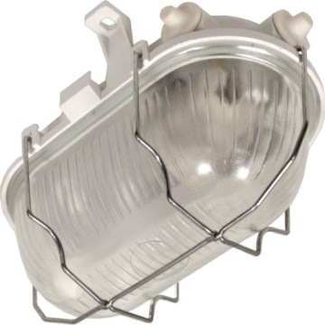 Buitenplafondlamp RADUS 1xE27/60W/230V IP54 wit