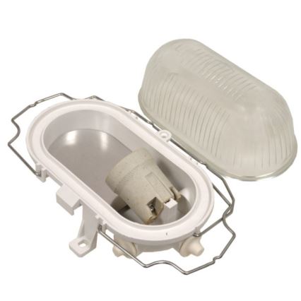 Buitenplafondlamp RADUS 1xE27/60W/230V IP54 wit