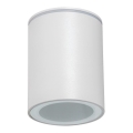 Buitenspot AQILO 1xGU10/7W/230V IP65 wit