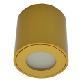Buitenspot FARA 1xGU10/30W/230V IP54 goudkleurig