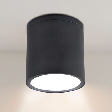 Buitenspot OHIO 1xGU10/10W/230V IP54 zwart
