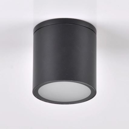 Buitenspot OHIO 1xGU10/10W/230V IP54 zwart