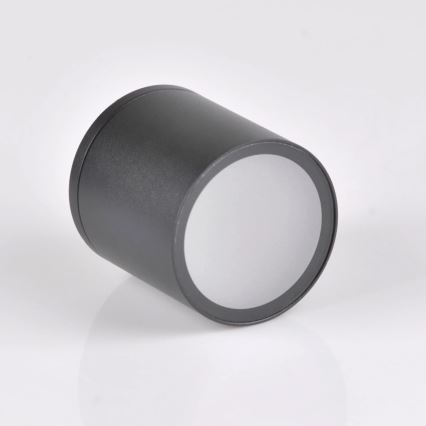 Buitenspot OHIO 1xGU10/10W/230V IP54 zwart