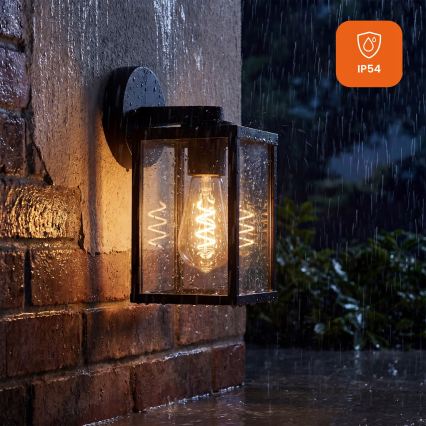 Buitenwandlamp 1xE27/25W/230V IP54 zwart