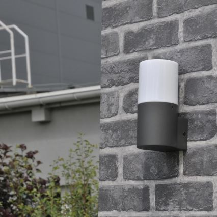 Buitenwandlamp DALLAS 1xE27/12W/230V IP44 antraciet