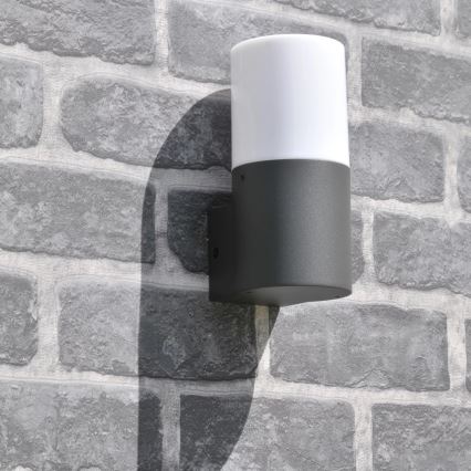 Buitenwandlamp DALLAS 1xE27/12W/230V IP44 antraciet