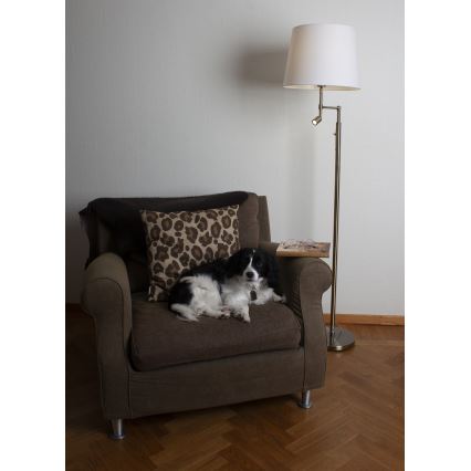 ByRydens - LED Vloerlamp ORLANDO 1xE27/5W/230V + LED/3W wit/brons Ø 36 cm