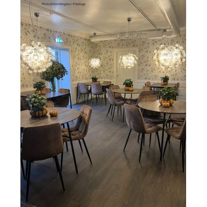 ByRydens - Hanglamp aan een koord GROSS 8xG9/4W/230V gerookt/bruin diameter 50 cm