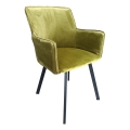 Chaise de salle à manger AMELIA vert