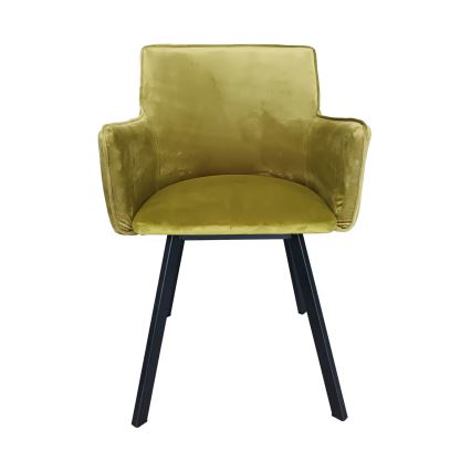 Chaise de salle à manger AMELIA vert