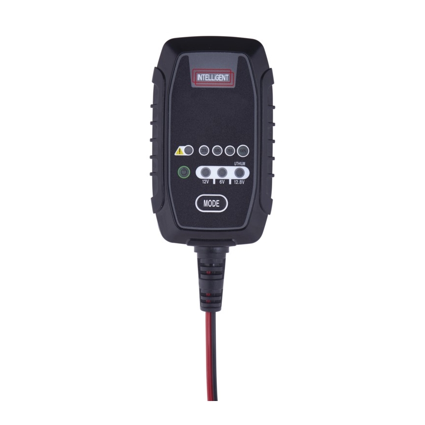 Chargeur de batterie auto 6/12V 0,8A