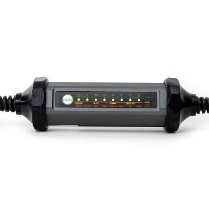 Chargeur portatif pour voitures électriques avec 4 adaptateurs Type 2 32A/480V 22kW 7m IP67