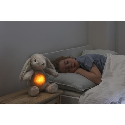 Cloud B - Doudou avec mélodie et lumière lapin + USB