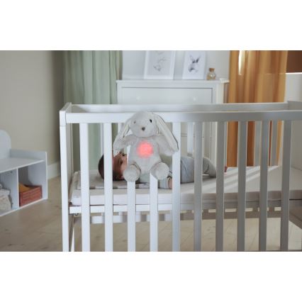 Cloud B - Doudou avec mélodie et lumière lapin + USB