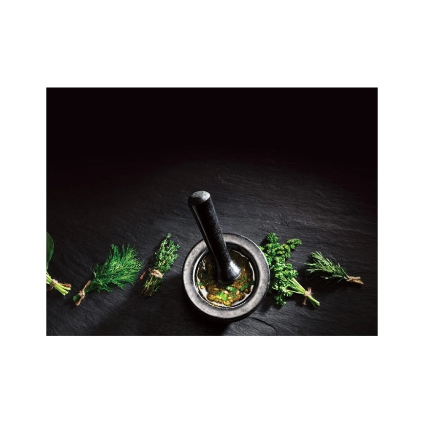 Cole&Mason - Granieten vijzel met een stamper GRANITE diameter 14 cm graniet/zwart