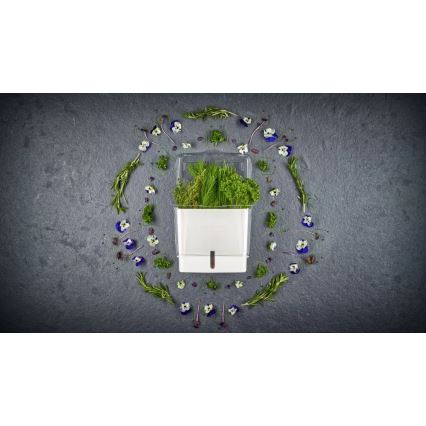 Cole&Mason - Récipient pour conserver les herbes fraîchement coupées