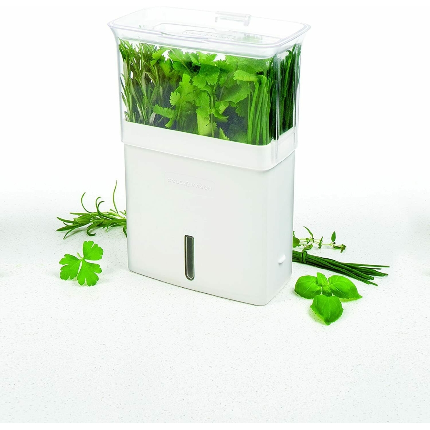 Cole&Mason - Récipient pour conserver les herbes fraîchement coupées