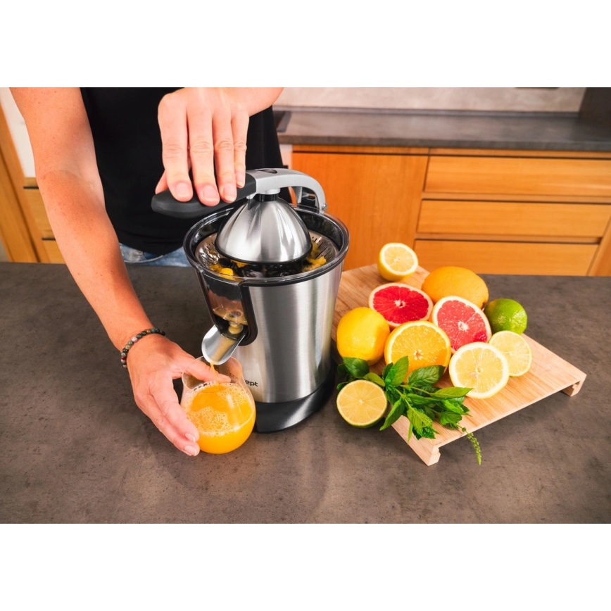 Concept CE3520 - Presse-agrumes à levier 0,75 l 160W/230V en inox