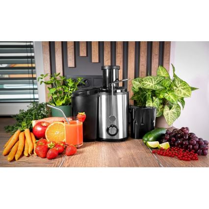 Concept LO7095 - Centrifugeuse 1000W/230V noir/inox