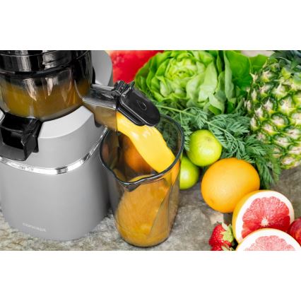 Concept LO7120 - Extracteur de jus JUICY 250W/230V gris