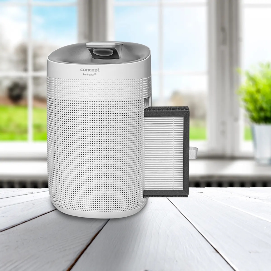 Concept OV1200 - Ontvochtiger en luchtzuiveraar PERFECT AIR 1 l 45W/230V wit