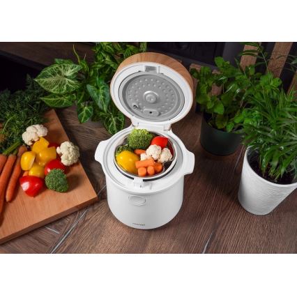 Concept RE3030 - Cuiseur à riz numérique 2 en 1 380 W/230 V 1,5 l blanc/décor bois