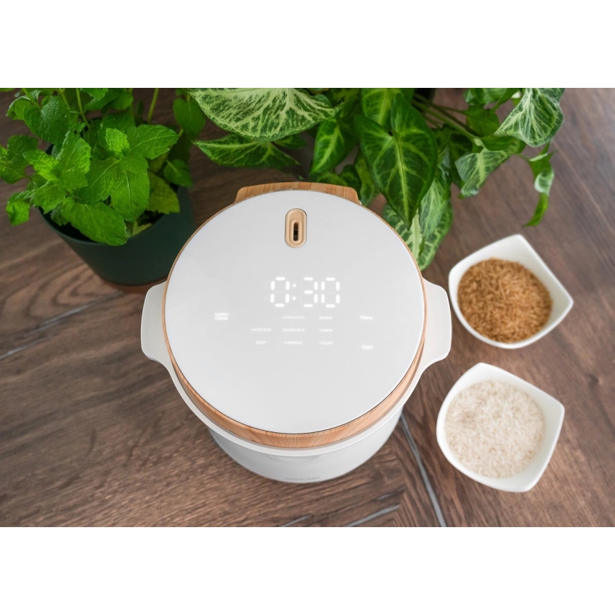 Concept RE3030 - Cuiseur à riz numérique 2 en 1 380 W/230 V 1,5 l blanc/décor bois