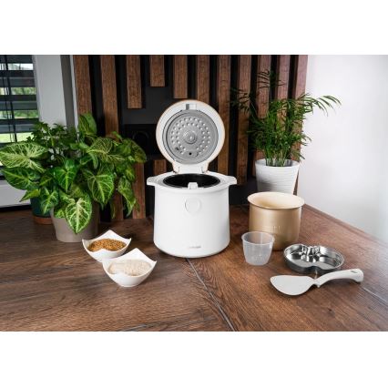 Concept RE3030 - Cuiseur à riz numérique 2 en 1 380 W/230 V 1,5 l blanc/décor bois