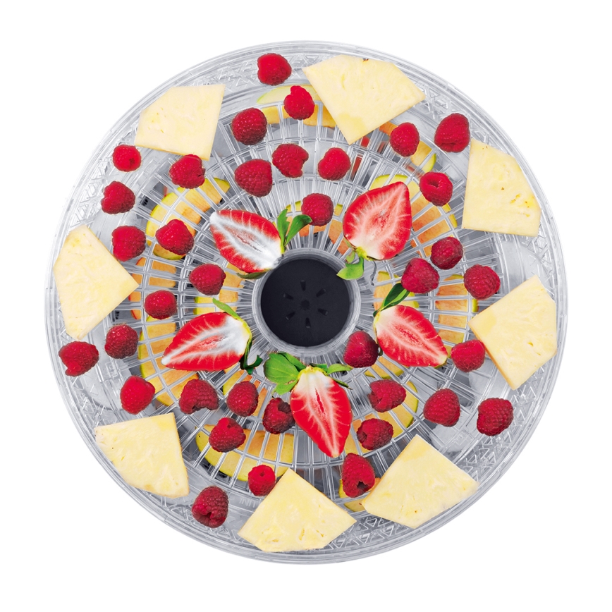 Concept SO2020 - Déshydrateur alimentaire 500W/230V blanc