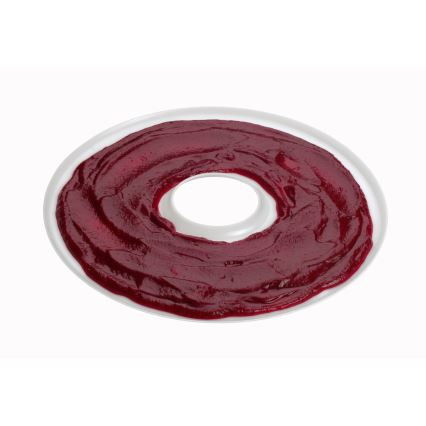 Concept SO2020 - Voedsel droger 500W/230V wit